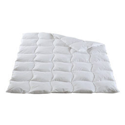 Ganzjahres-Duvet / Daunen