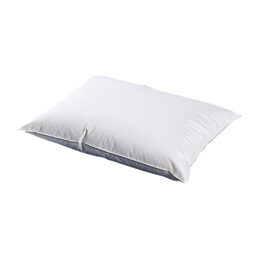 Kissen medium / Daunen und Federchen