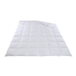 Leichtes Ganzjahres-Duvet / Daunen