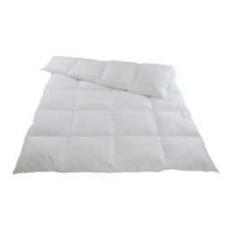 Winter-Duvet / Daunen