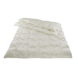 4-Saisons Kassettendecke / Daunen