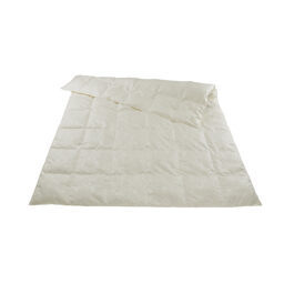 Leichte Kassettendecke / Daunen