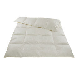 Winter Kassettendecke / Daunen