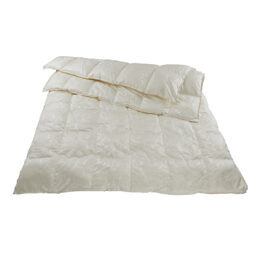 4-Saisons Kassettendecke / Daunen