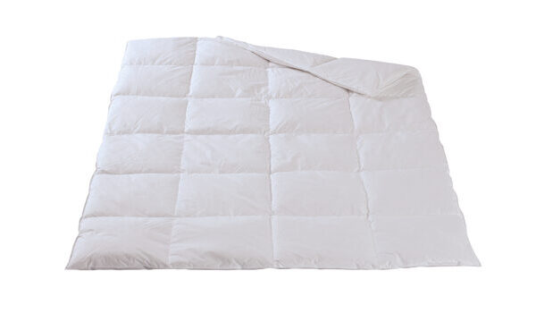 Duvet d'hiver / flocons de duvet