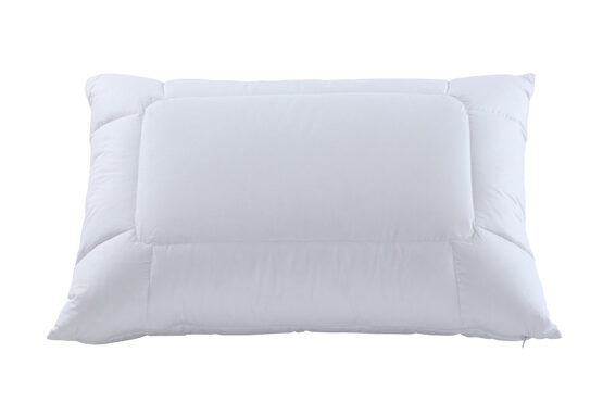 Stützkissen adjustable / Daunen und Federn