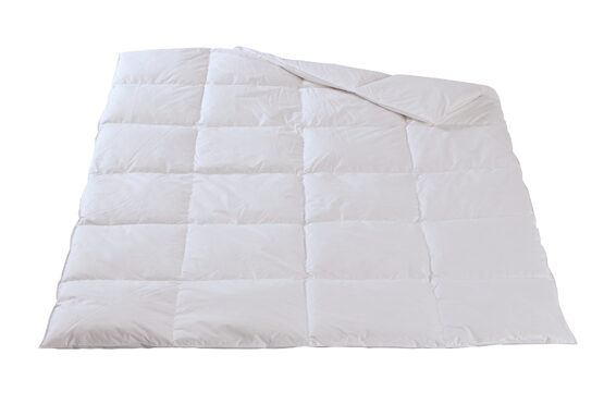 Duvet d'hiver / flocons de duvet