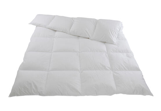 Winter-Duvet / Daunen