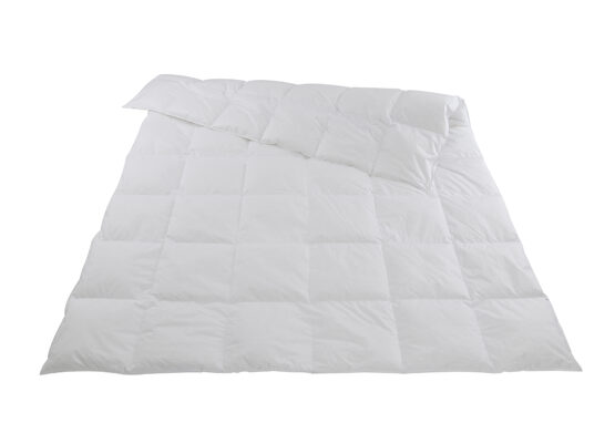 Leichte Kassettendecke / Daunen